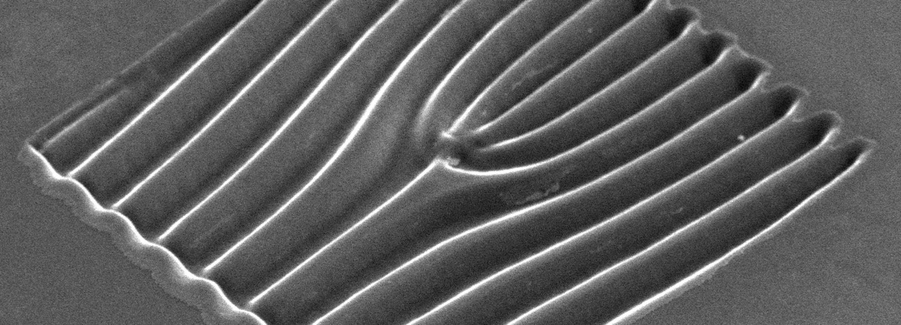 Microscopic image of a fork-shaped lattice