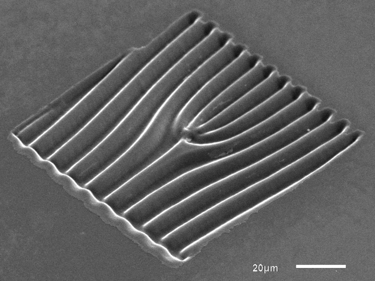 Mikroskopische Aufnahme eines Gitters in Gabelform