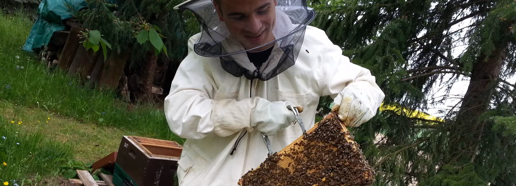 Mann in Imkerkleidung an Bienenstöcken