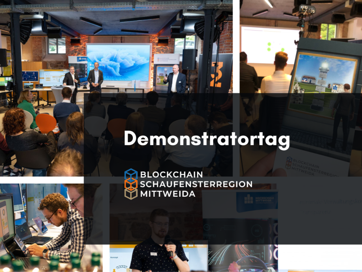 Bildcollage aus Vortrag und Demonstration